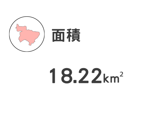 ICON-1